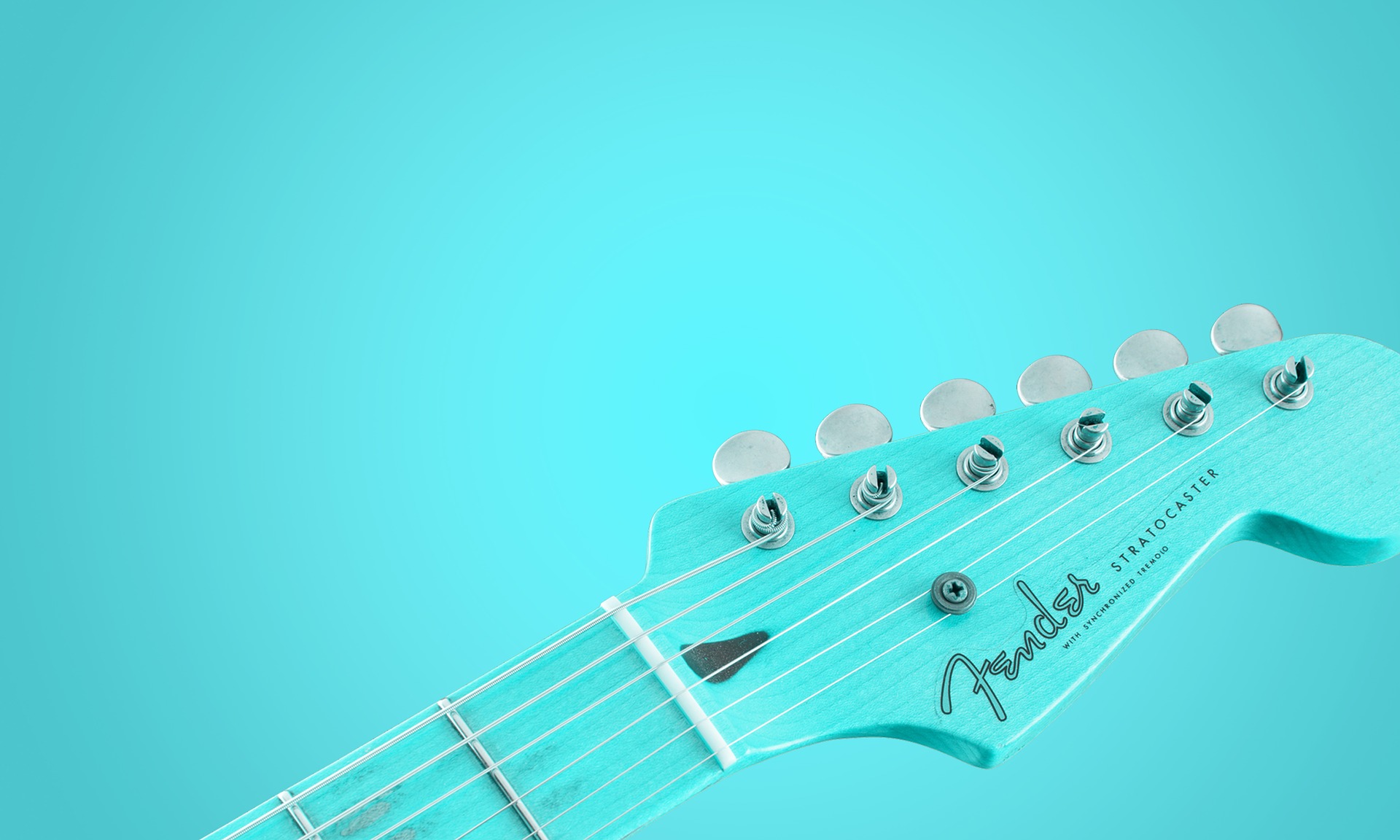 Aprire la partita iva come musicista